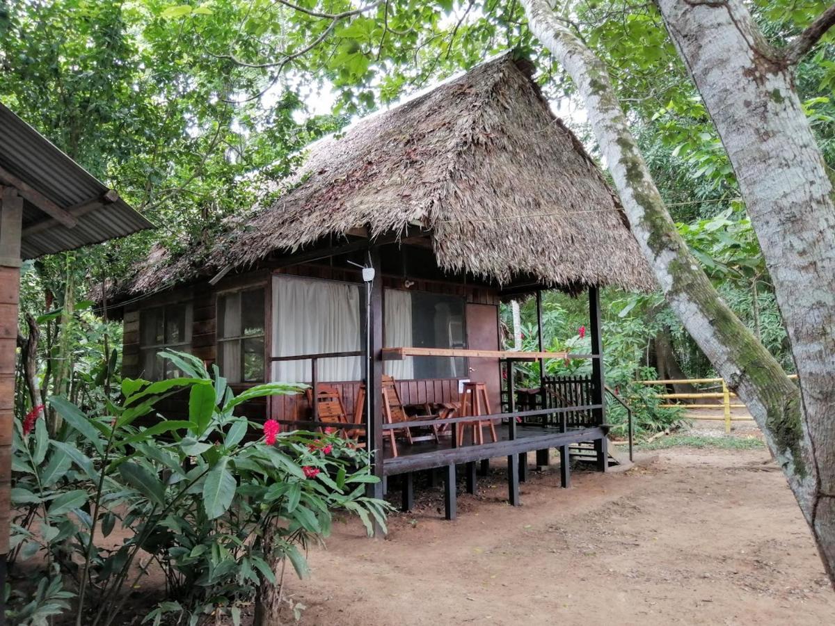 Tambopata River Puerto Maldonado Bagian luar foto