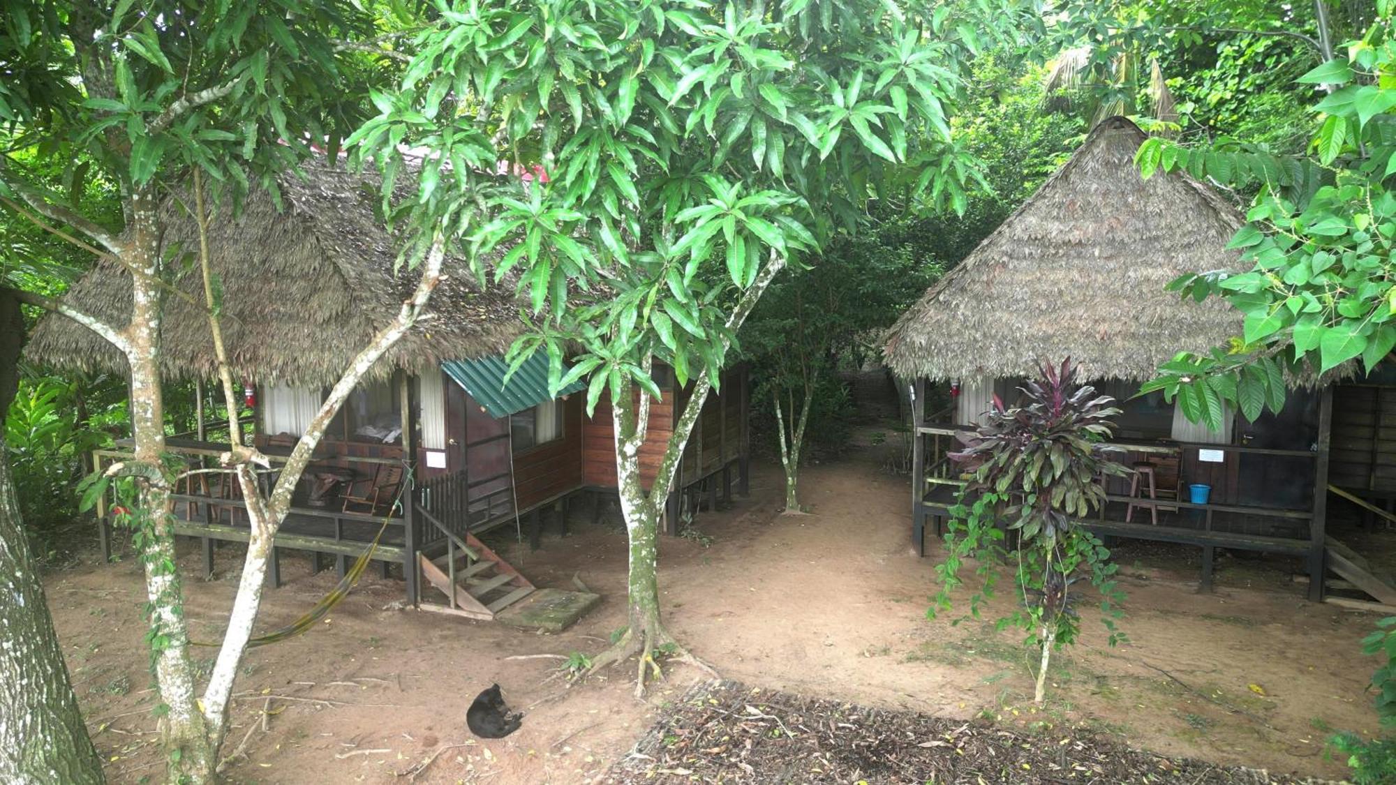 Tambopata River Puerto Maldonado Bagian luar foto