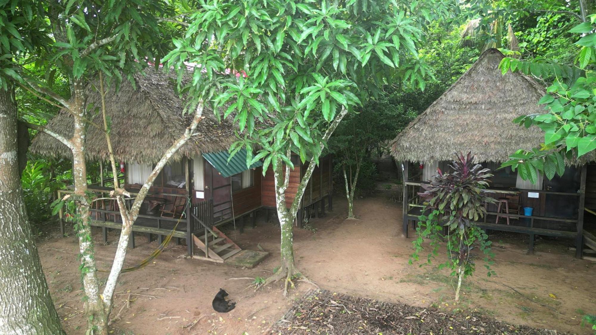 Tambopata River Puerto Maldonado Bagian luar foto