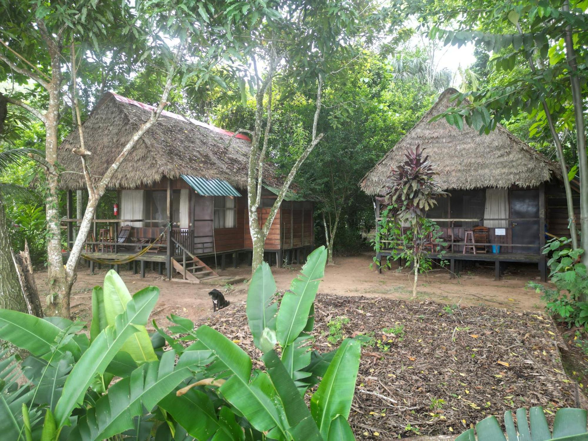 Tambopata River Puerto Maldonado Bagian luar foto
