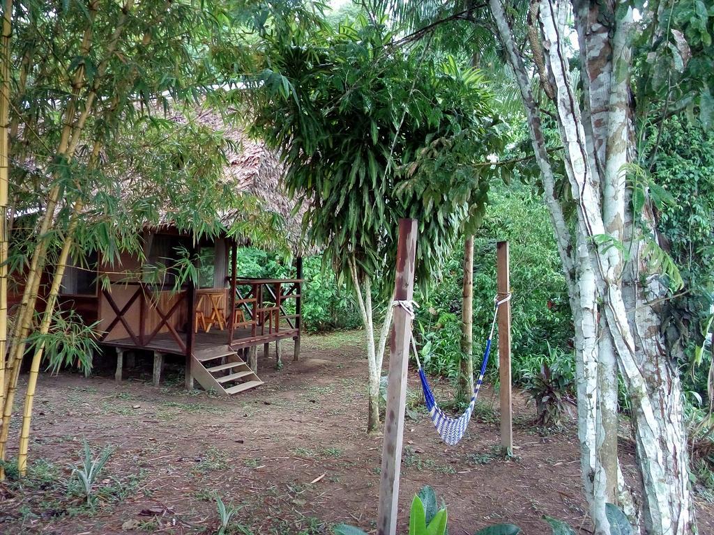 Tambopata River Puerto Maldonado Bagian luar foto