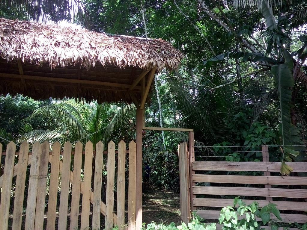 Tambopata River Puerto Maldonado Bagian luar foto