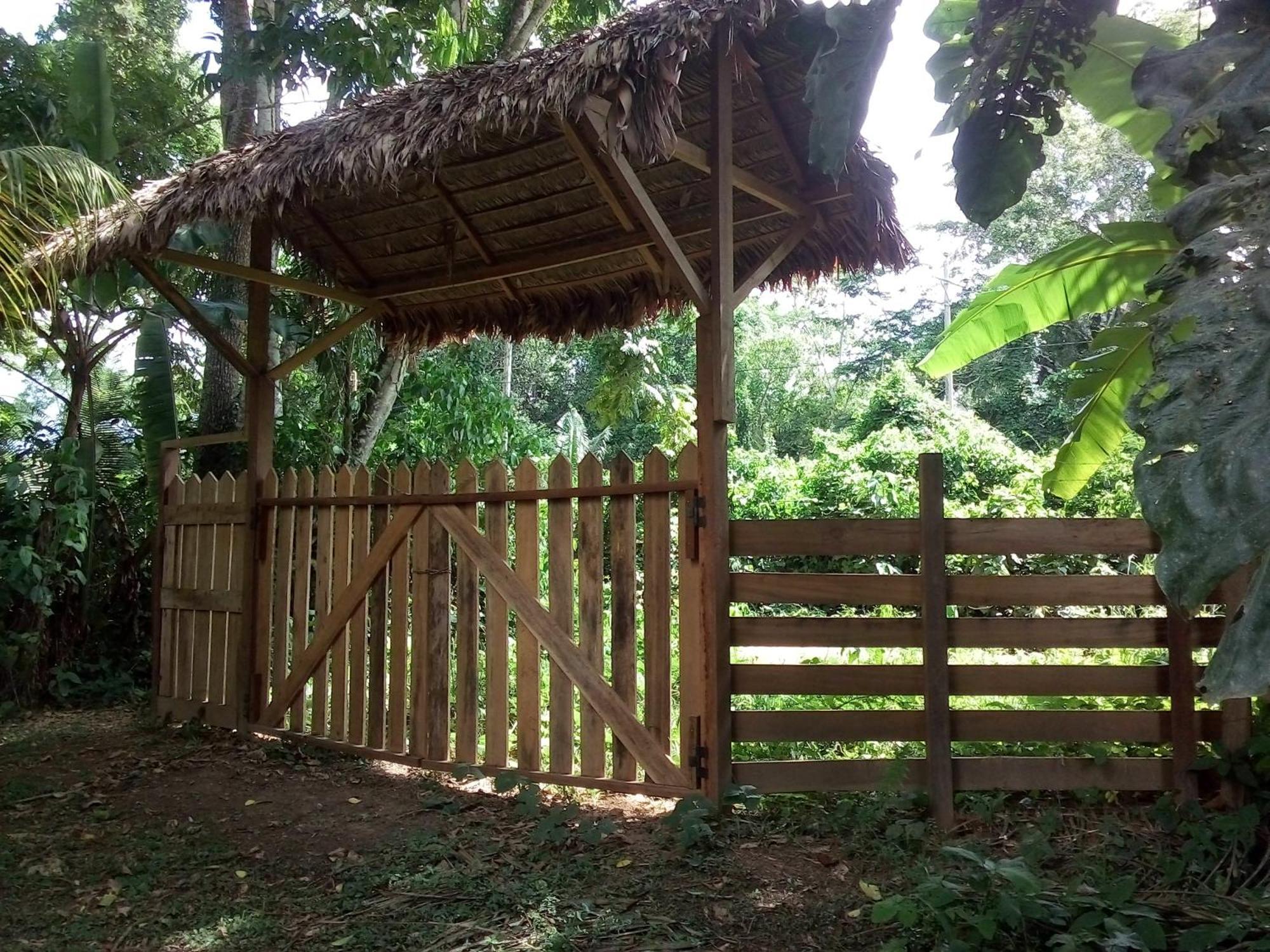 Tambopata River Puerto Maldonado Bagian luar foto