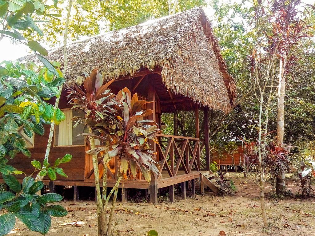 Tambopata River Puerto Maldonado Bagian luar foto