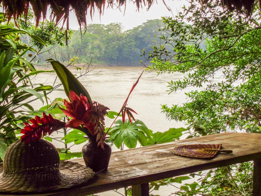 Tambopata River Puerto Maldonado Bagian luar foto