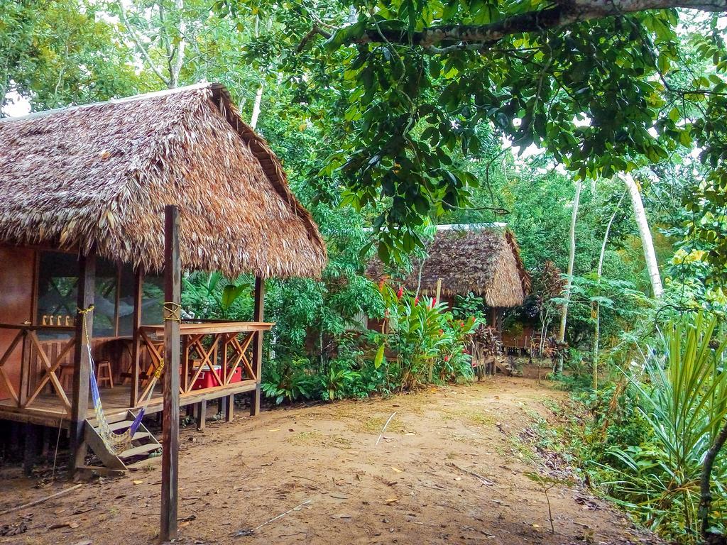 Tambopata River Puerto Maldonado Bagian luar foto