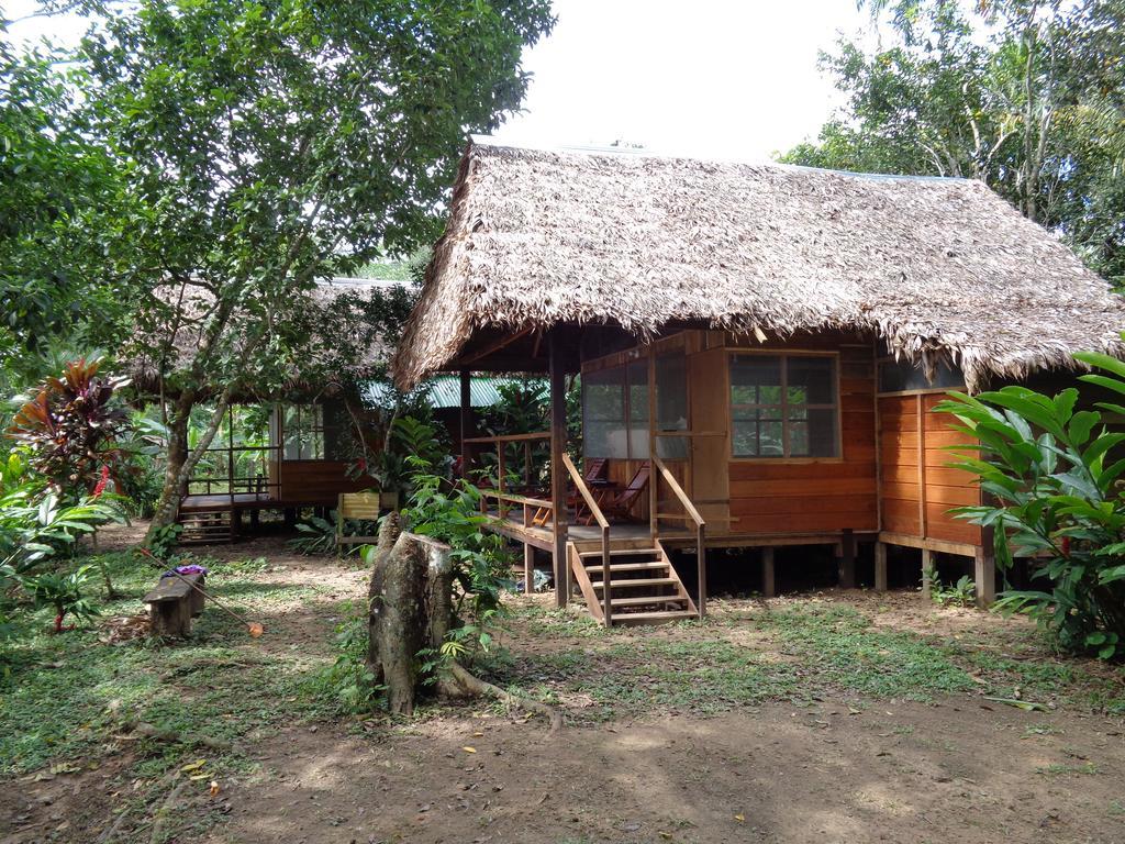 Tambopata River Puerto Maldonado Bagian luar foto