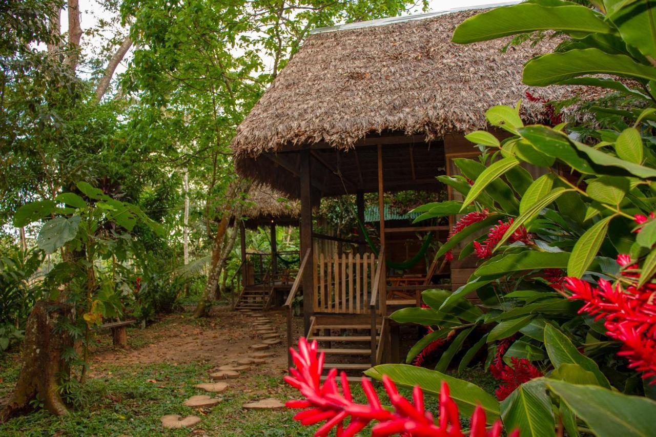 Tambopata River Puerto Maldonado Bagian luar foto