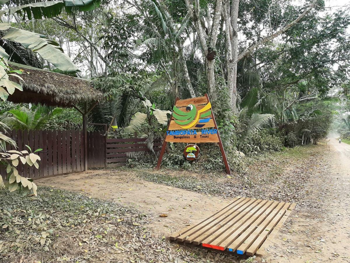 Tambopata River Puerto Maldonado Bagian luar foto