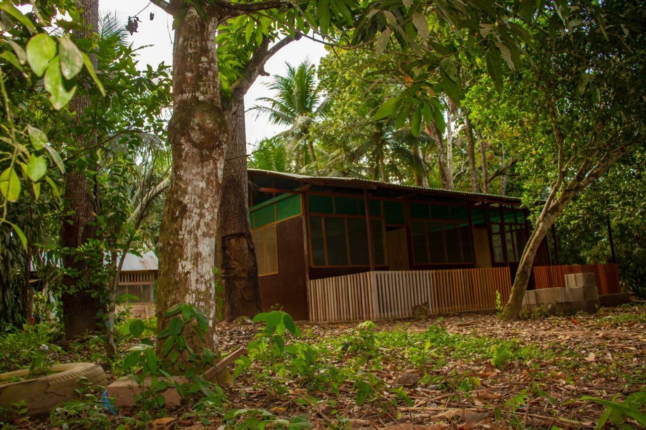 Tambopata River Puerto Maldonado Bagian luar foto