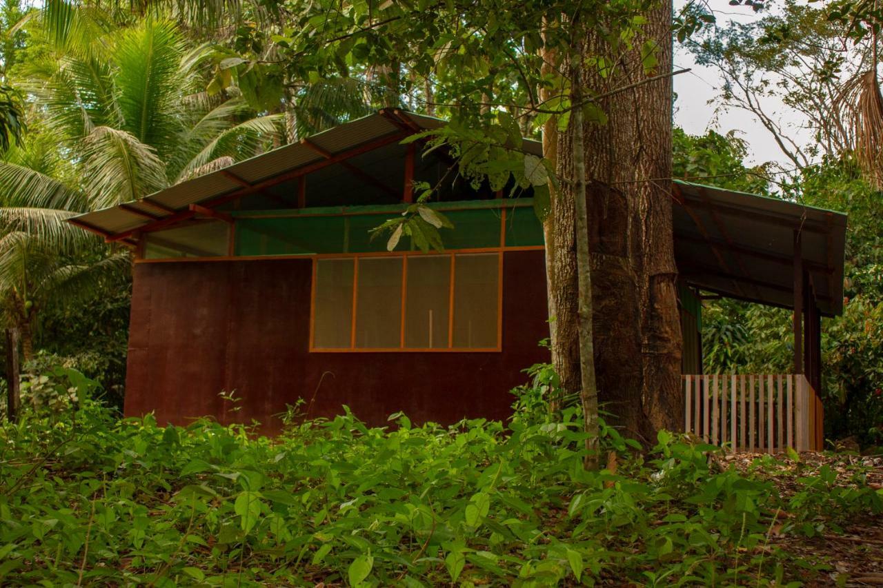 Tambopata River Puerto Maldonado Bagian luar foto